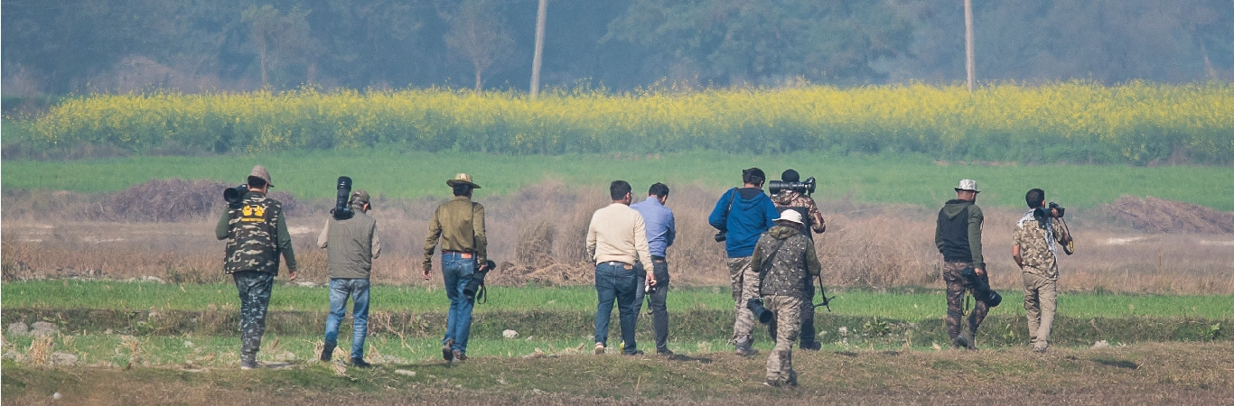 Delhi Bird Photographers