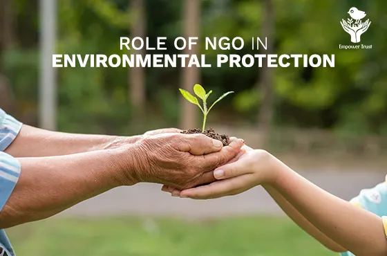 Hands passing a young plant symbolizing NGO efforts in environmental protection