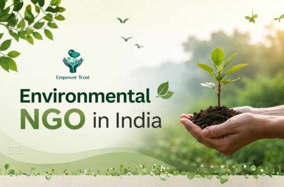 How to Choose the Right Environmental NGO in India